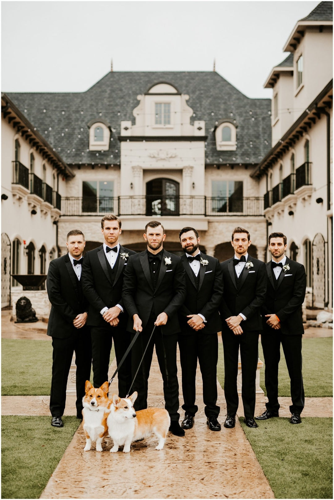 Groom and groomsmen wearing black tuxedos posing with two dogs.