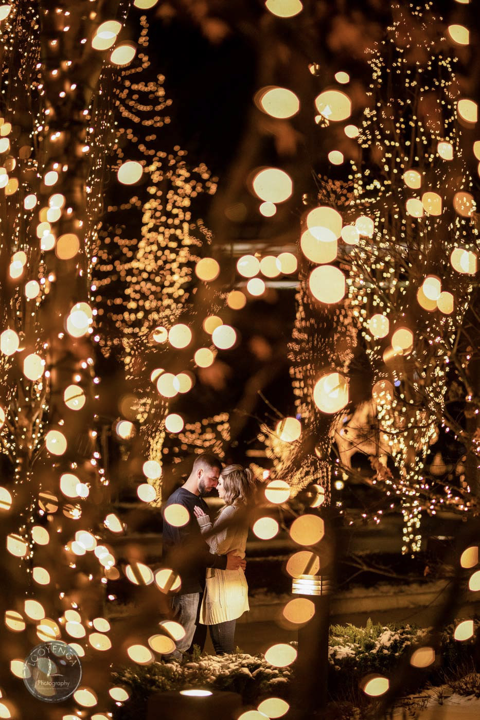 couples embracing each other between trees decorated with lights