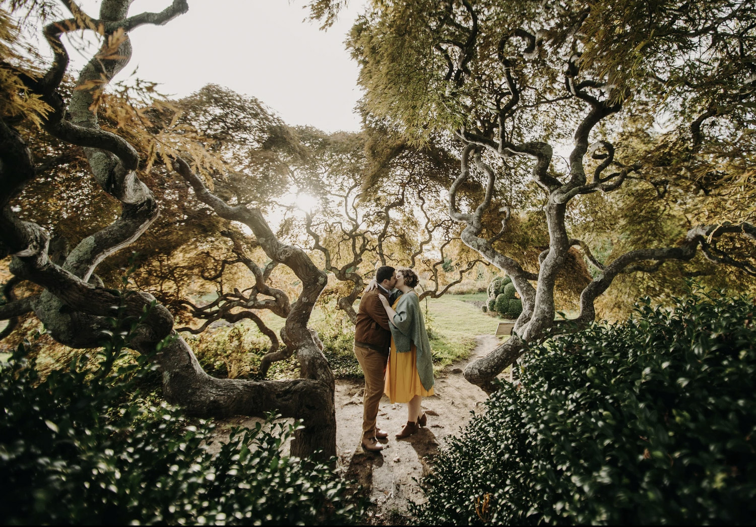 a couple kissing each other romantically between crooked trees and green bushes