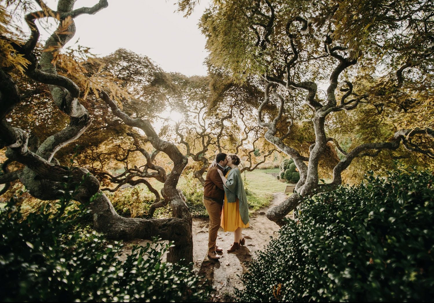 a couple kissing in the middle of foliage while the sun is shining from behind
