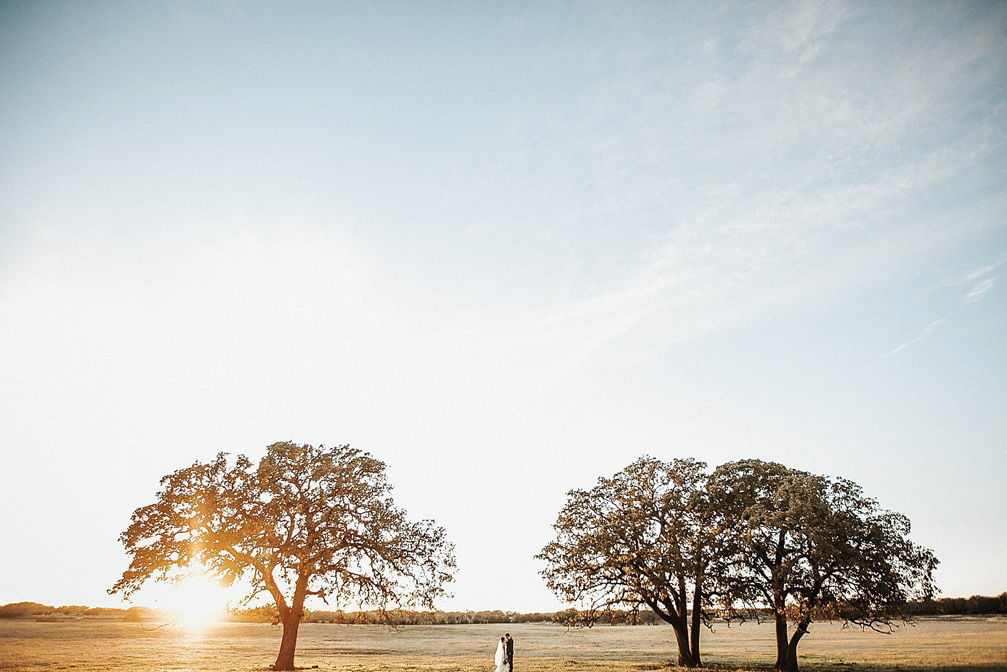 a wedding couple standing in between two trees with wide open skies