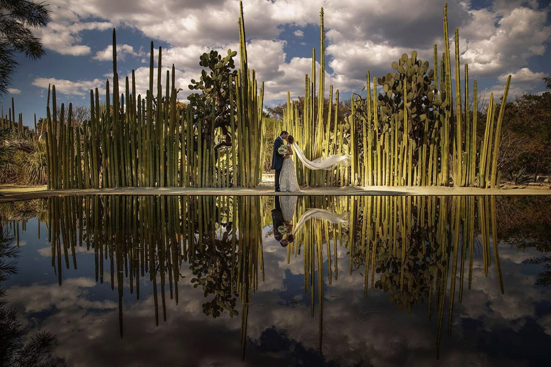 a beautiful picture of a couple kissing by some cactus bush in front of a lake with their reflection in wedding photography