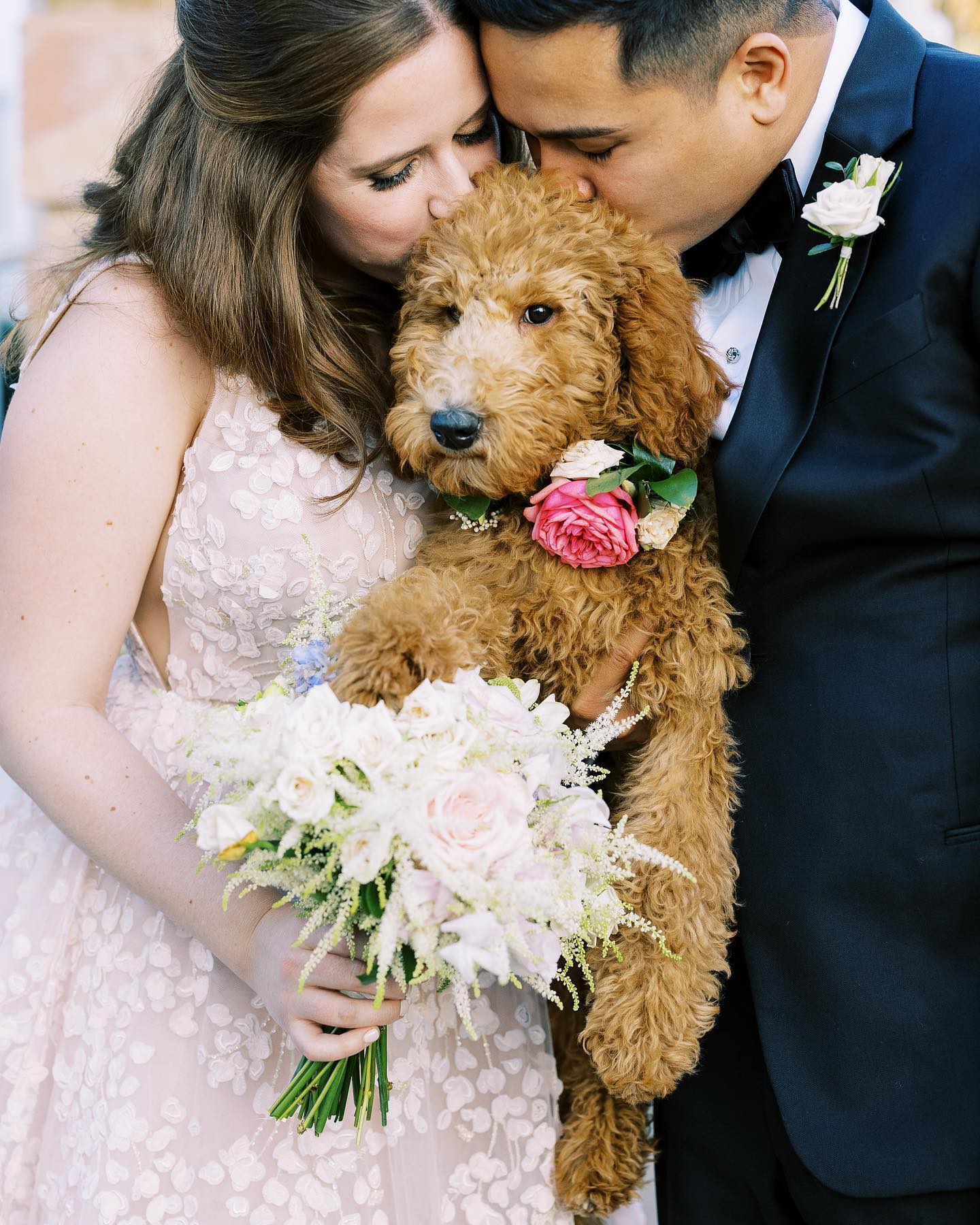 a wedding couple kissing their pet dog while holding the bouquet