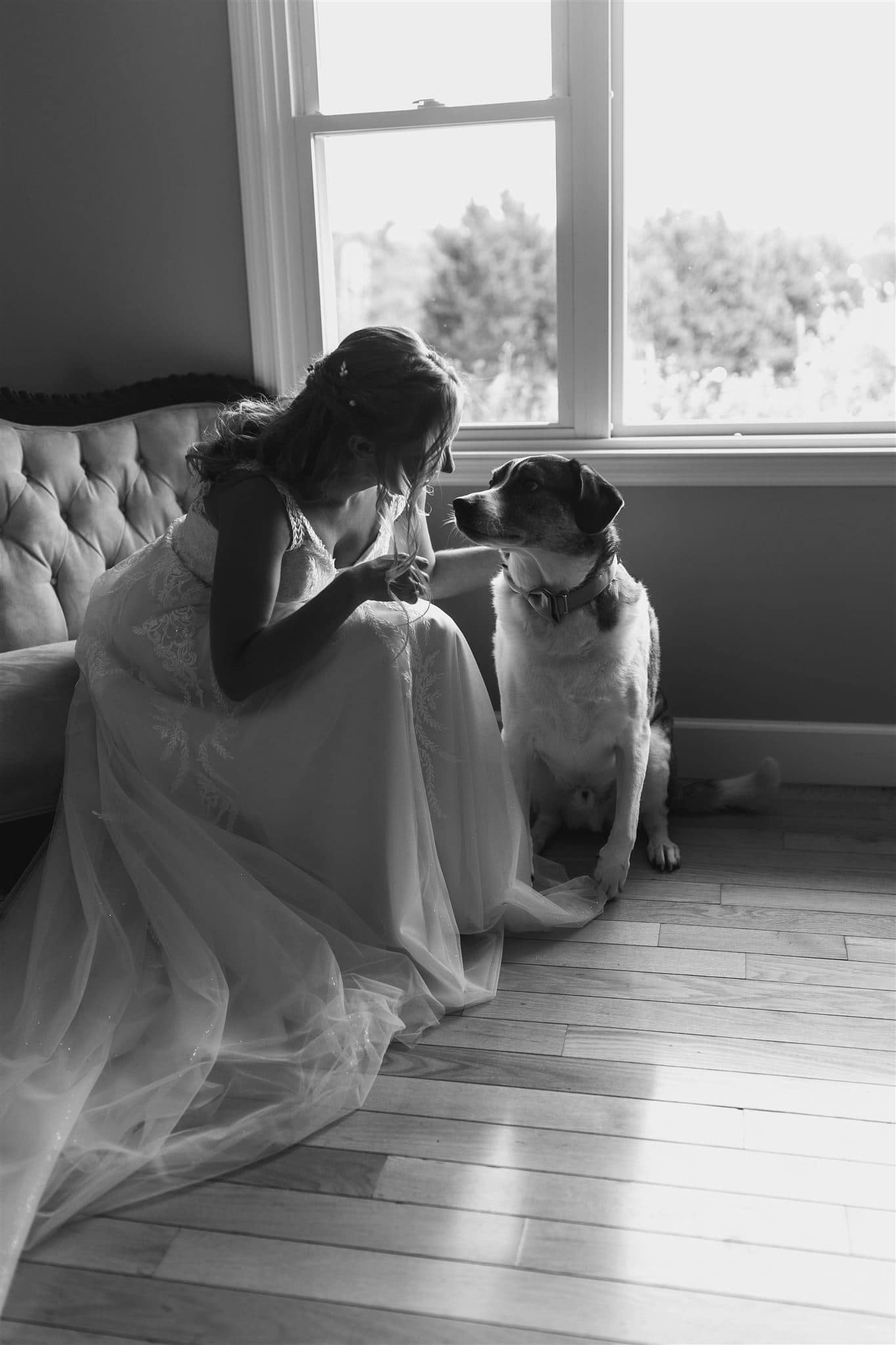 a wedding bride talking to her pet dog