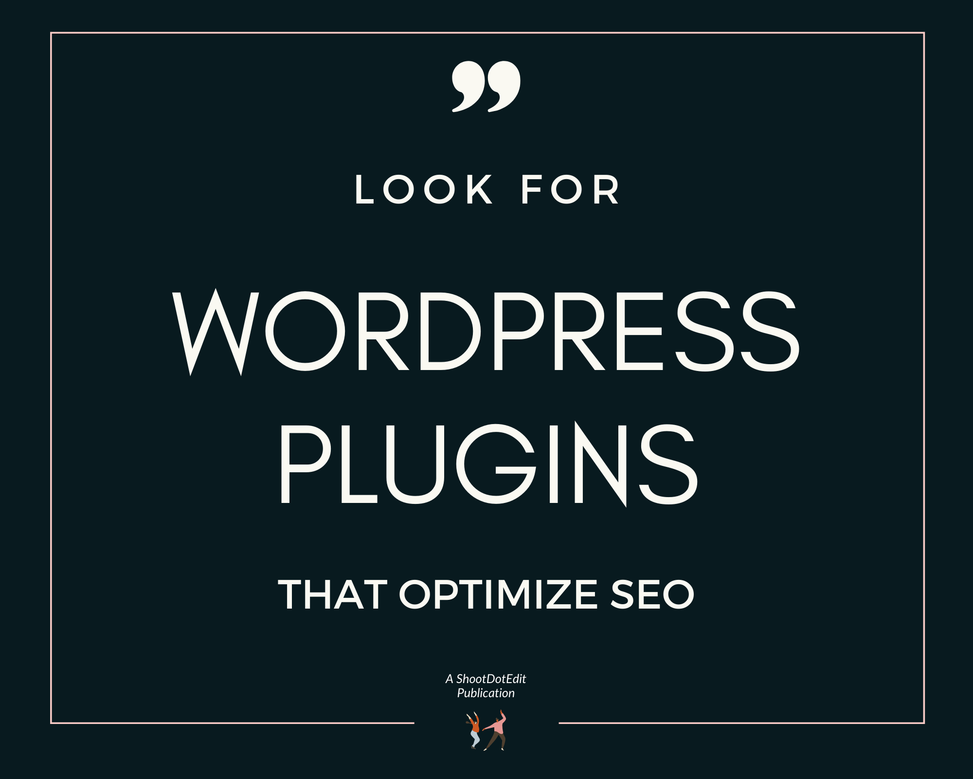 Infographic stating look for WordPress plugins that optimize SEO