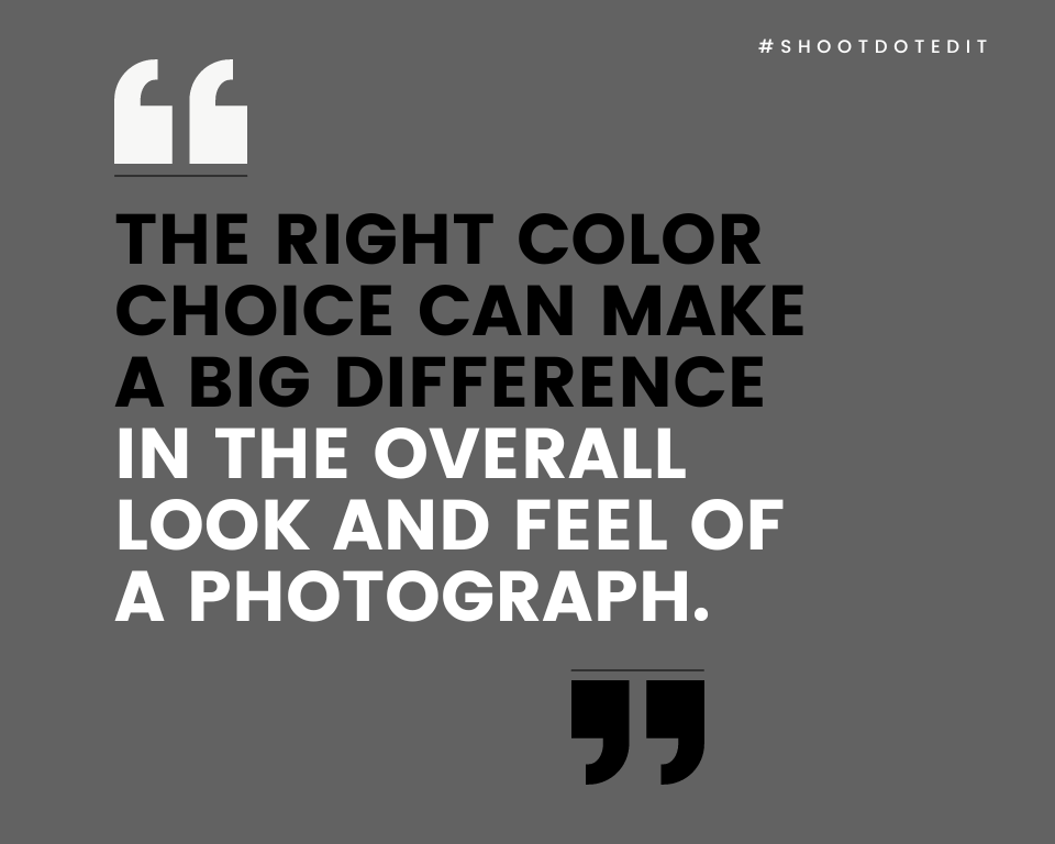 infographic stating the right color choice can make a big difference in the overall look and feel of a photograph