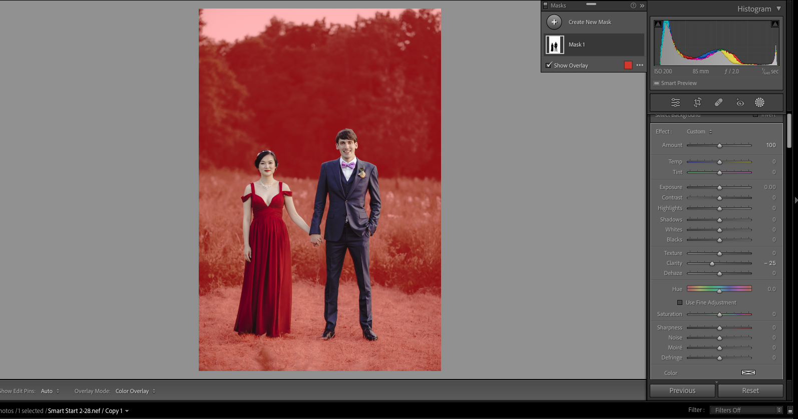a screenshot of an image with a background mask in lightroom classic 12.0